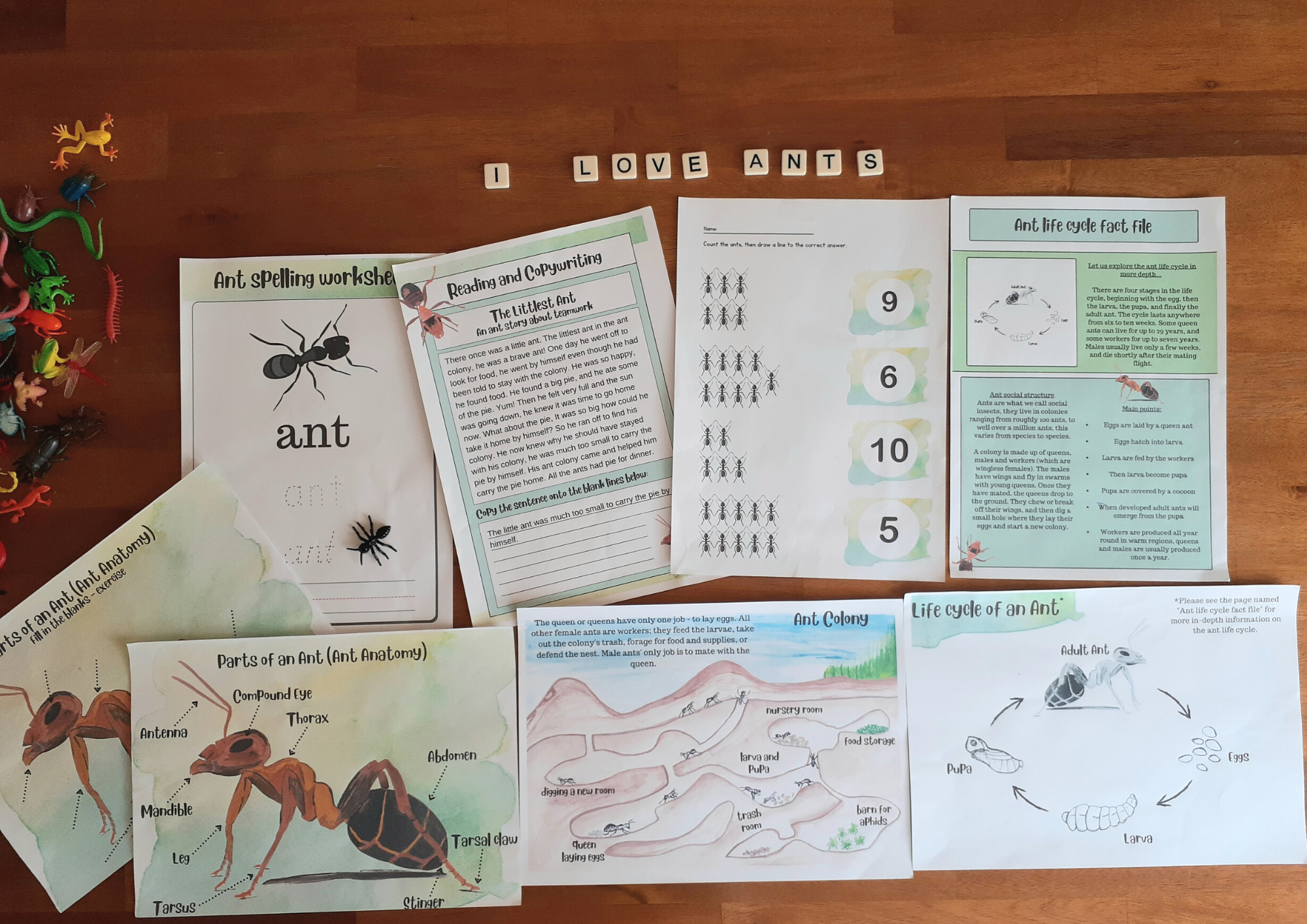 ANT Unit Study MEGA Printable Ants Bundle Ant (Download Now) 