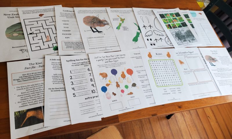 Another angle of the printable unit study bundle on the New Zealand Kiwi Bird