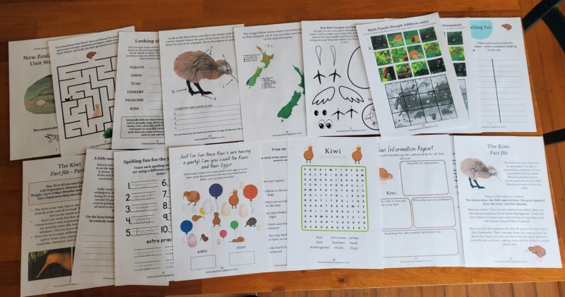 shows all the pages in the New Zealand Kiwi bird unit study bundle