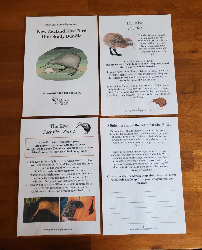 page 1-4 of the NZ Kiwi Bird Unit Study Bundle