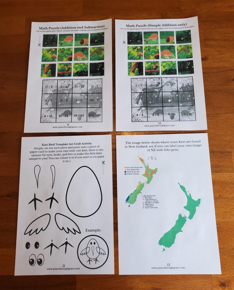 page 9-12 of the NZ Kiwi Bird Unit Study Bundle