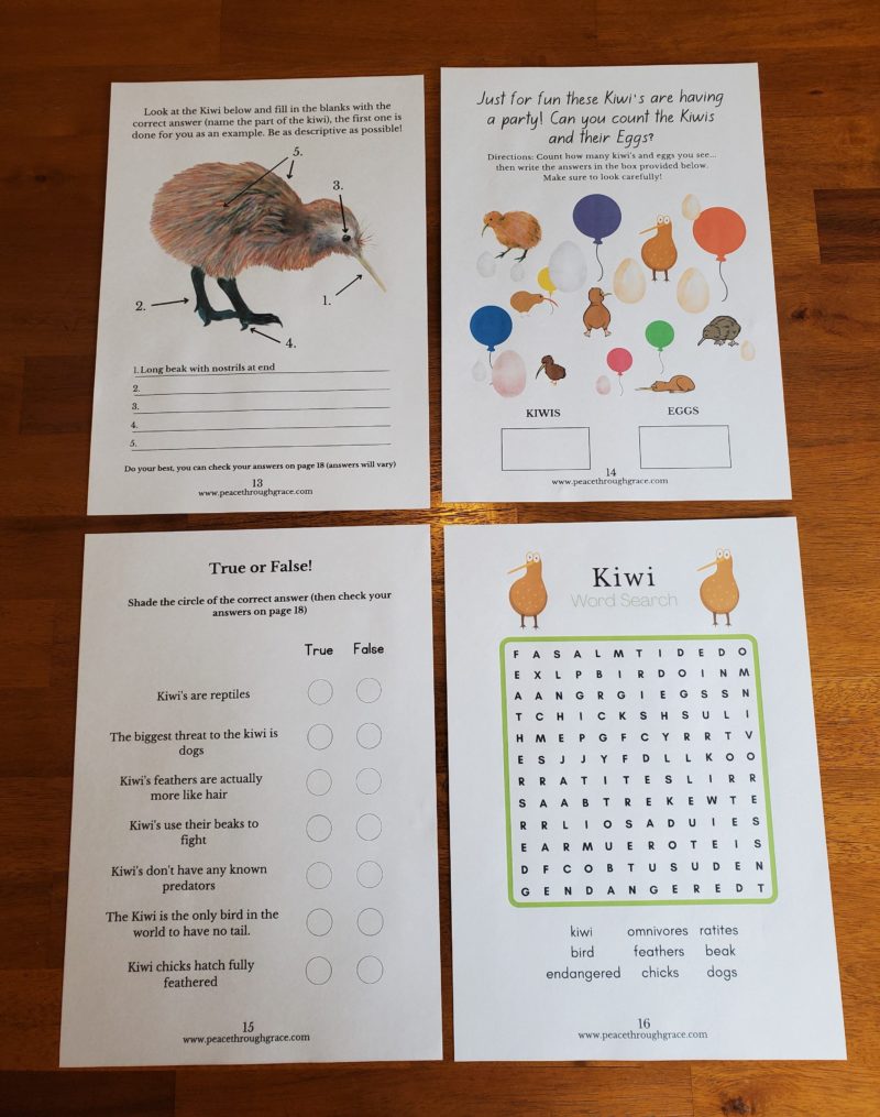 page 13-16 of the NZ Kiwi Bird Unit Study Bundle