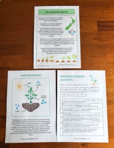 NZ Spring info sheet, Photosynthesis info and activity