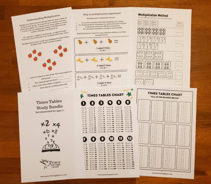 first six pages of the multiplication bundle