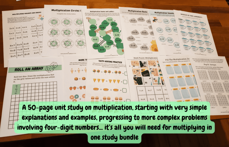 50 pages of multiplication taking you through simple explanations and examples right through to four digit problems