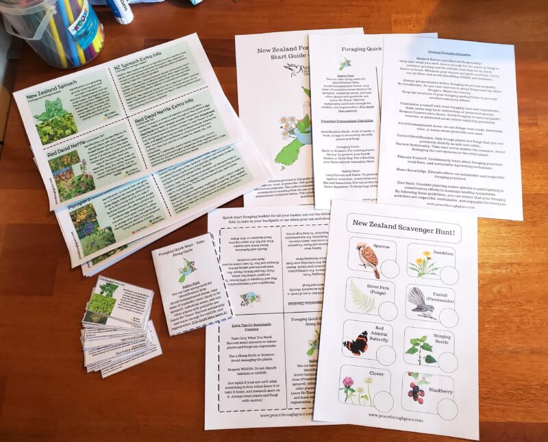 Foraging guide and cards printed out and displayed on the table