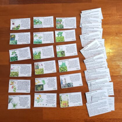 Pocket size identification cards of common foraging plants in New Zealand