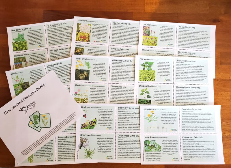 Backpack size identification cards of common foraging plants in New Zealand