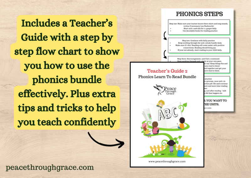 Includes a teacher's guide plus extra tips and tricks for phonics instruction