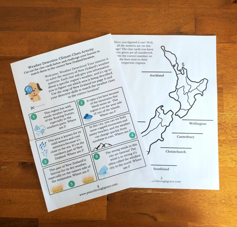 Weather Detective: Climate Clues Activity - my sons favourite activity