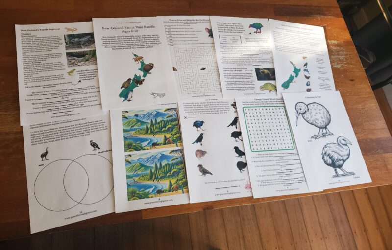 another angle of the New Zealand Fauna unit study bundle