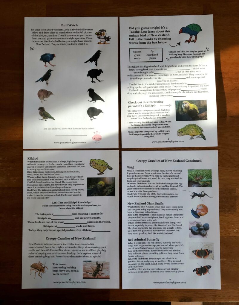 pages 4-7 of the new zealand fauna unit study