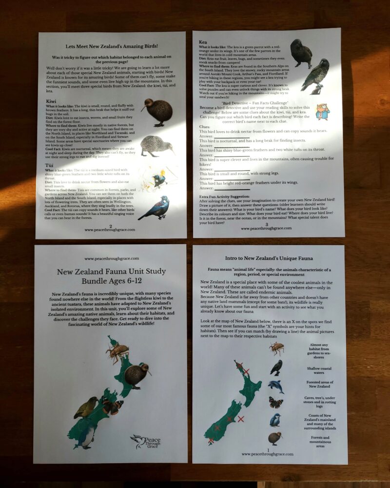 front page of the nz fauna study with pages 1-3 included