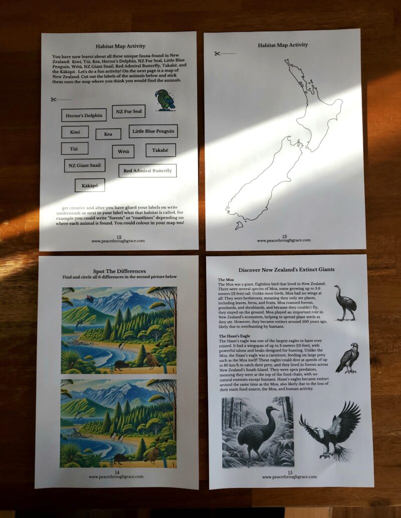 pages 12-15 of the new zealand fauna unit study