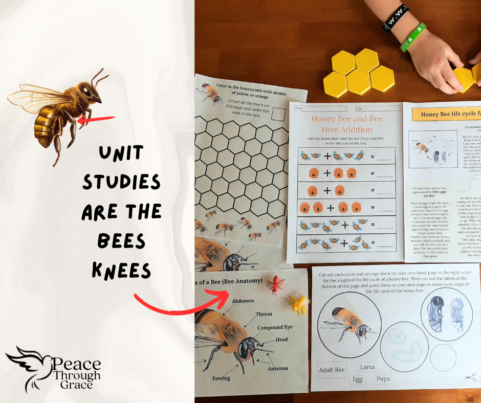 Unit Studies are the Bees Knees for engaging, exciting, hands-on learning for homeschooling families. A picture of Peace Through Grace's unit study on the honey bee printed out