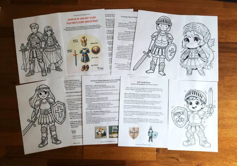 Armour of God Unit Study Teacher's Guide + Extras! Includes colouring in, science experiments, extra craft activities and teaching tips