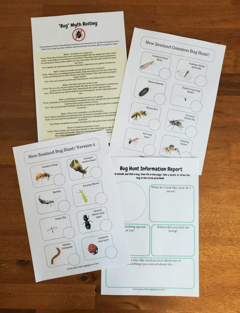 Includes bug myth busting, bug scavenger hunts and bug report fun!